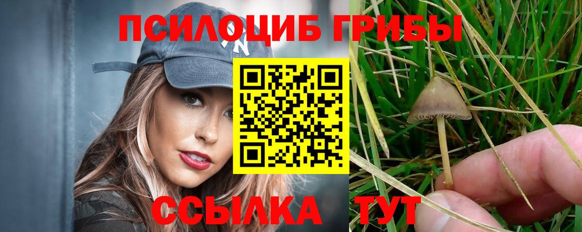 Псилоцибиновые грибы прущие грибы  Галлюциногенные грибы GOLDEN TEACHER  Вход с VPN  Арсеньев 